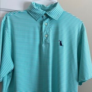 Striped Polo Shirt in Teal and White